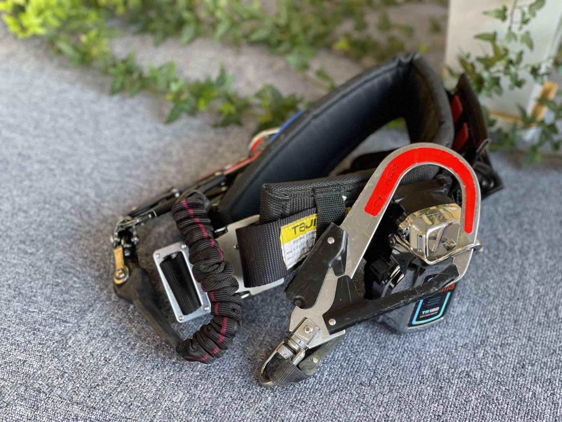 採用情報